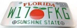  florida license plate green and silver